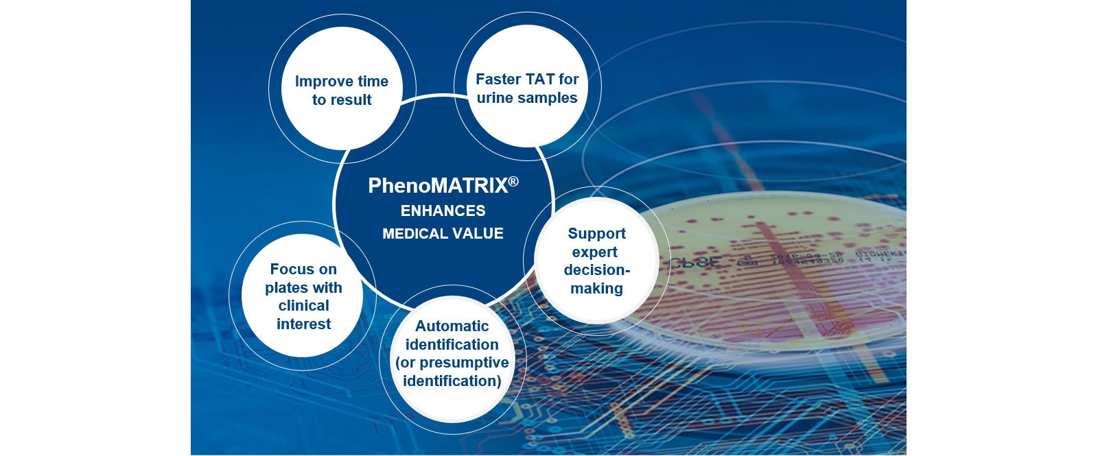 PhenoMATRIX enhances medical value schema